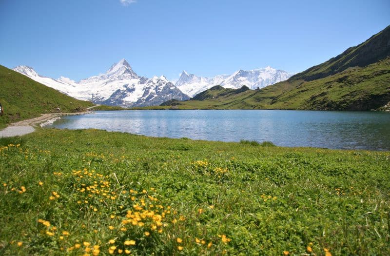 Bachalpsee at Mt. First with a backdrop of snow-covered mountain peaks.