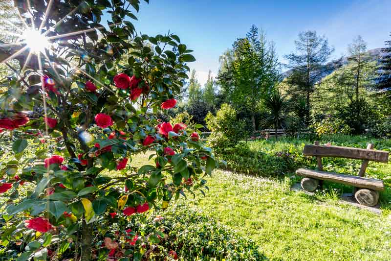 Camellia Gardens, Locarno, Switzerland