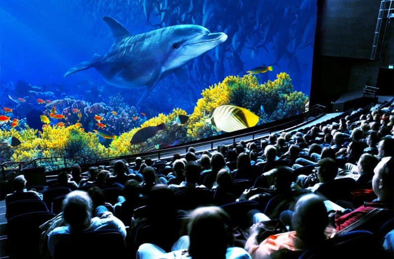 A dolphin swims across the screen at the film theatre in the Swiss Museum of Transport in Lucerne.