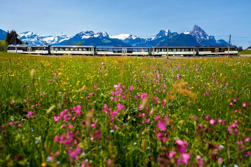 Golden Pass panoramic train