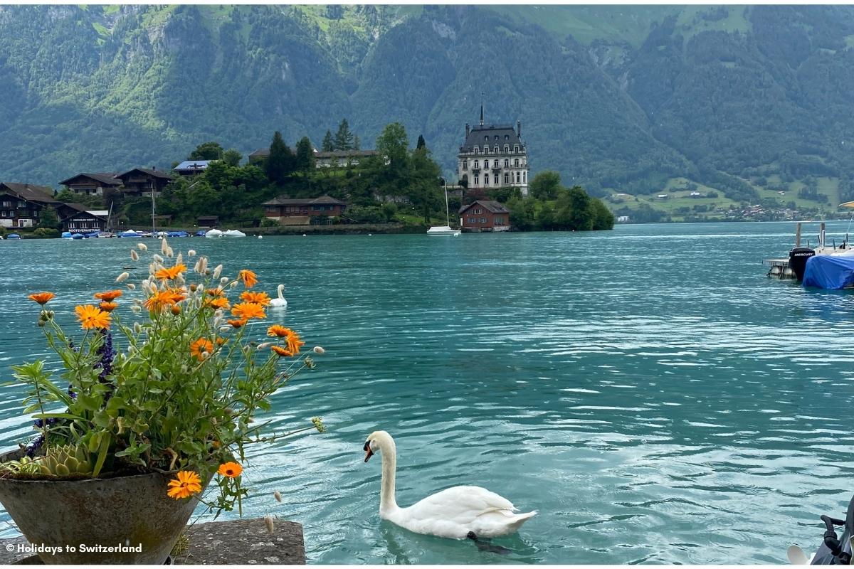 Iseltwald, Lake Brienz, Switzerland