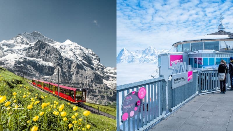 Jungfraujoch or Schilthorn