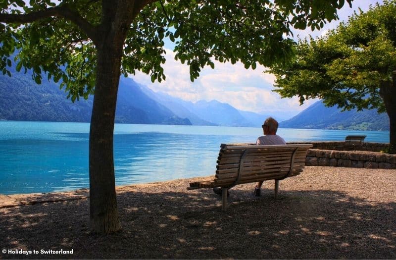 A man sits on a bench beside Lake Brienz.