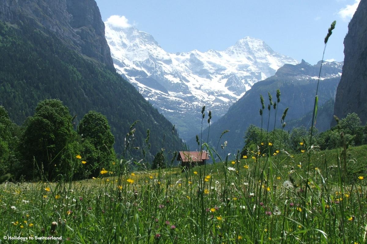 View of Lauterbrunnen Valley and Alps in spring