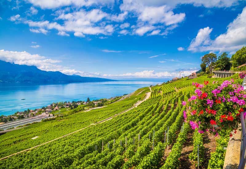 Lavaux vineyards, Montreux Riviera.