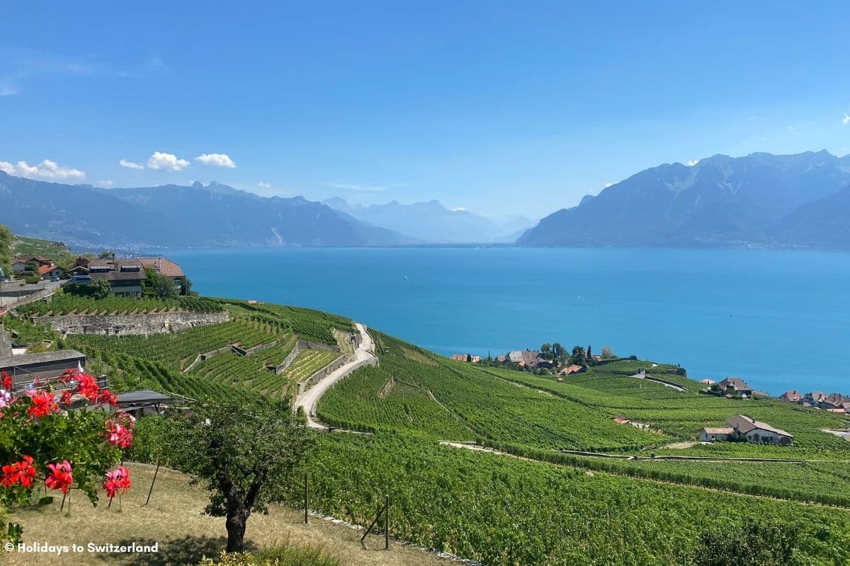 View over the Lavaux vineyards to Lake Geneva.