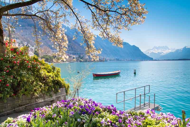 Lake Geneva surrounded by flowrs and mountains. 