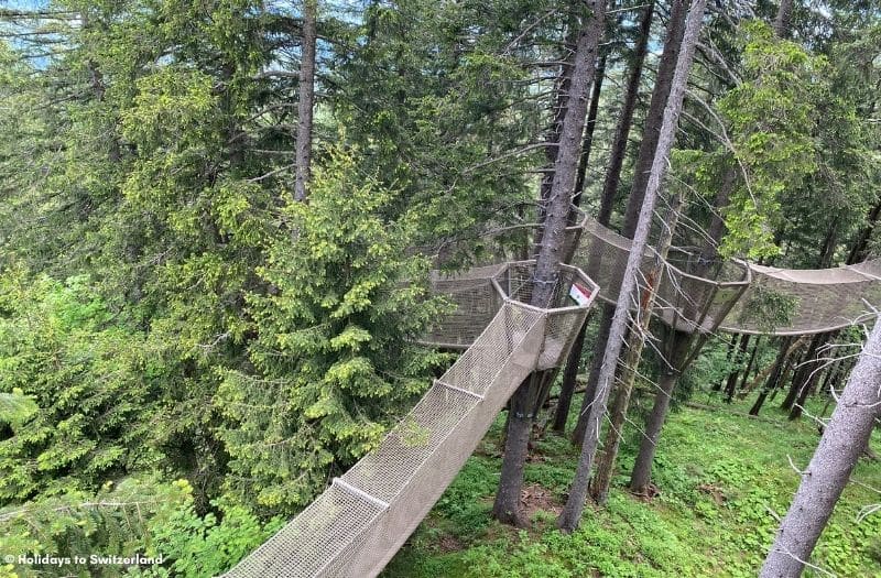 Treetop Path at Frakmuntegg on Mt. Pilatus