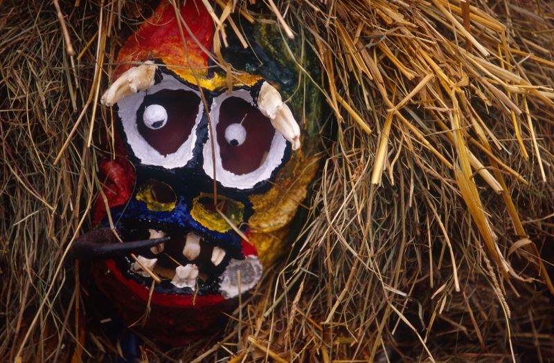 Mummer's Procession mask