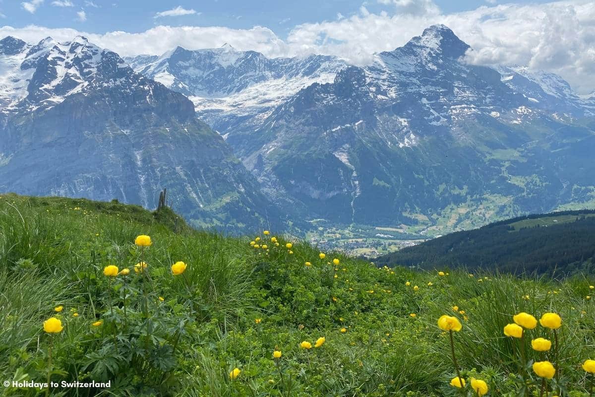 Panoramic view from Grindelwald First in Switzerland