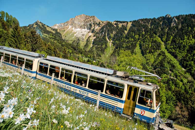 The Rochers-de-Naye cogwheel train descending the mountain.