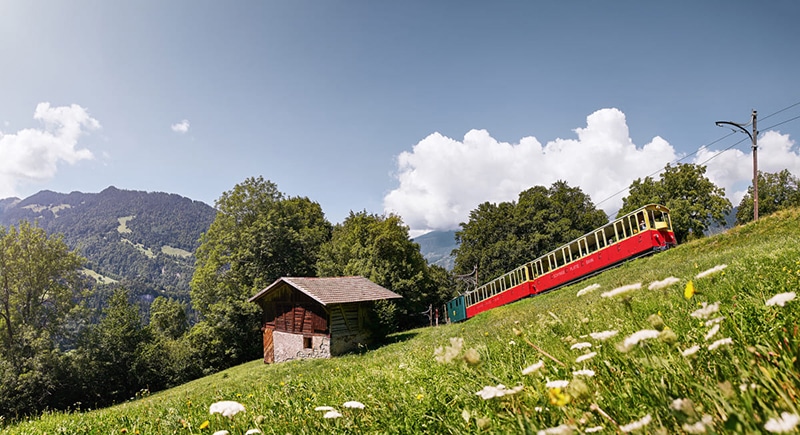 Schynige Platte train