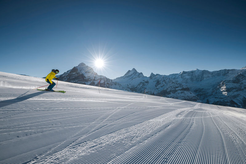 Skier going down mountian in Grindelwald.