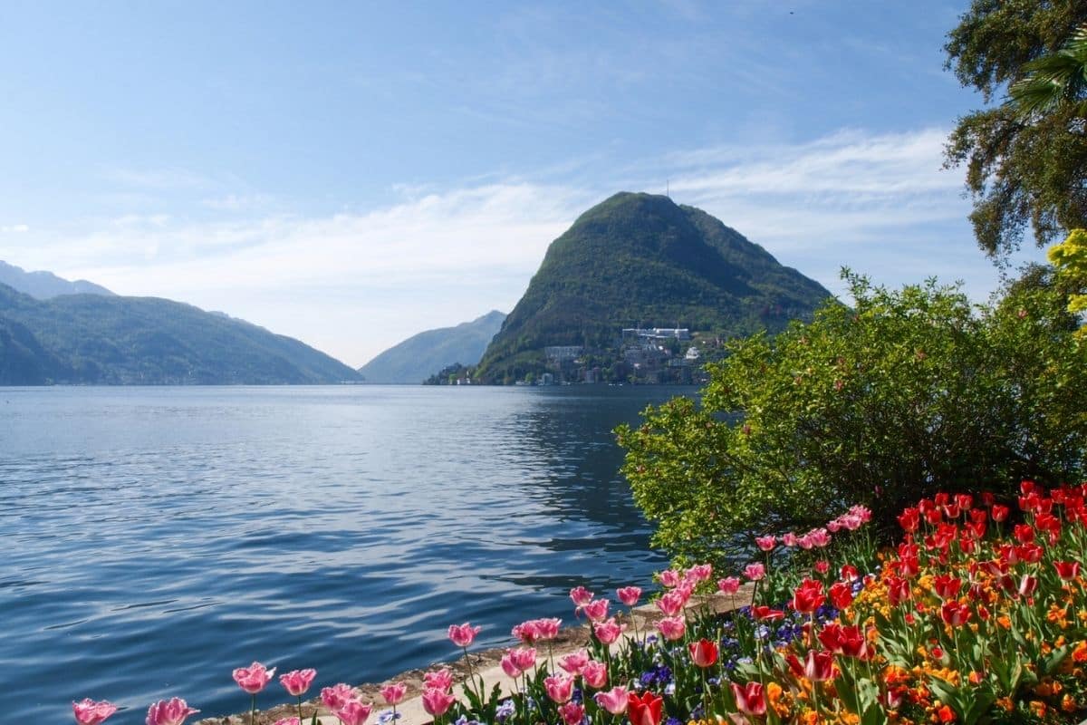 Spring flowers beside Lake Lugano in Switzerland