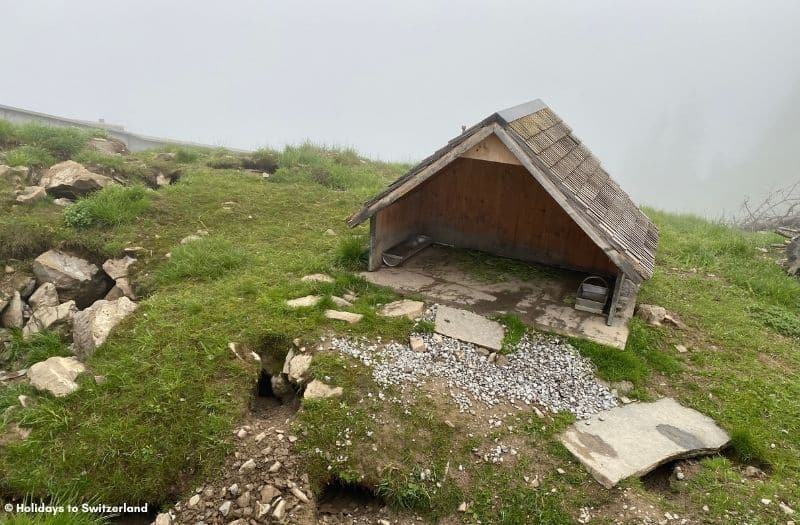 A wooden shelter for marmot at Mt. Stanserhorn