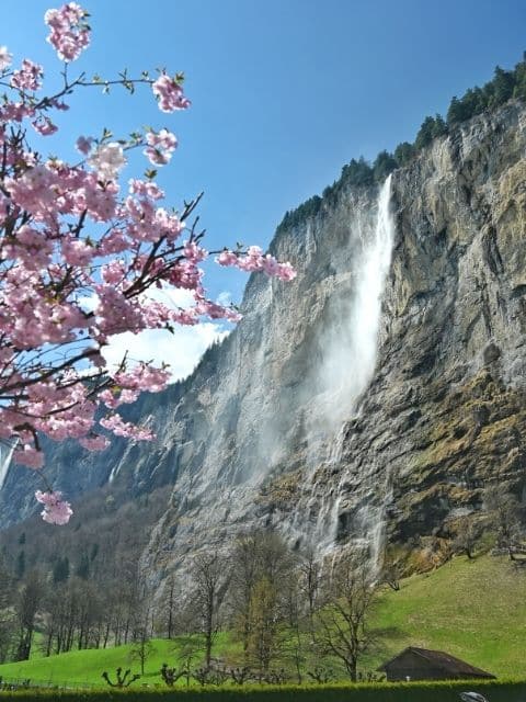 Staubbach Falls in Lauterbrunnen, Switzerland