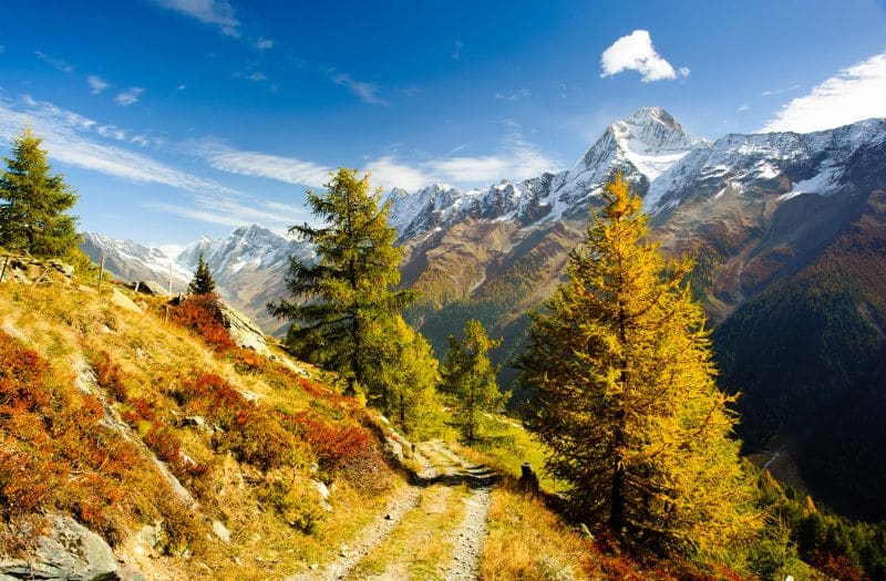 Swiss hiking trail in autumn