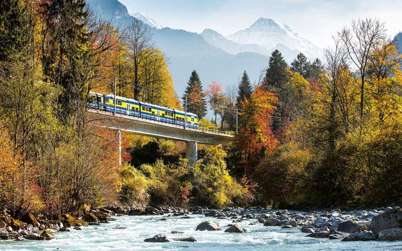 Train traveling through colorful fall foliage.