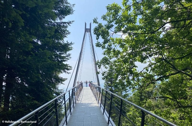 Viewing platform at Cardada