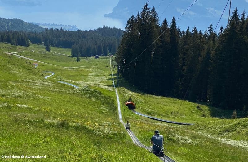 The summer toboggan run at Frakmuntegg on Mt. Pilatus.