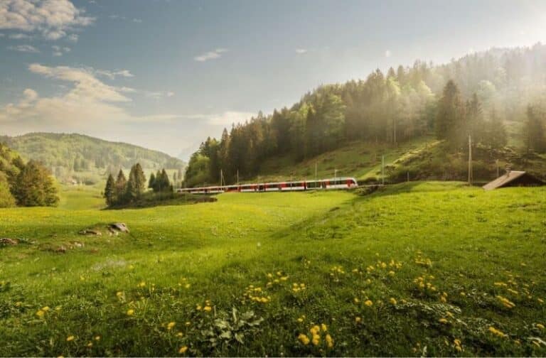 Train travelling through Hasli Valley in Switzerland