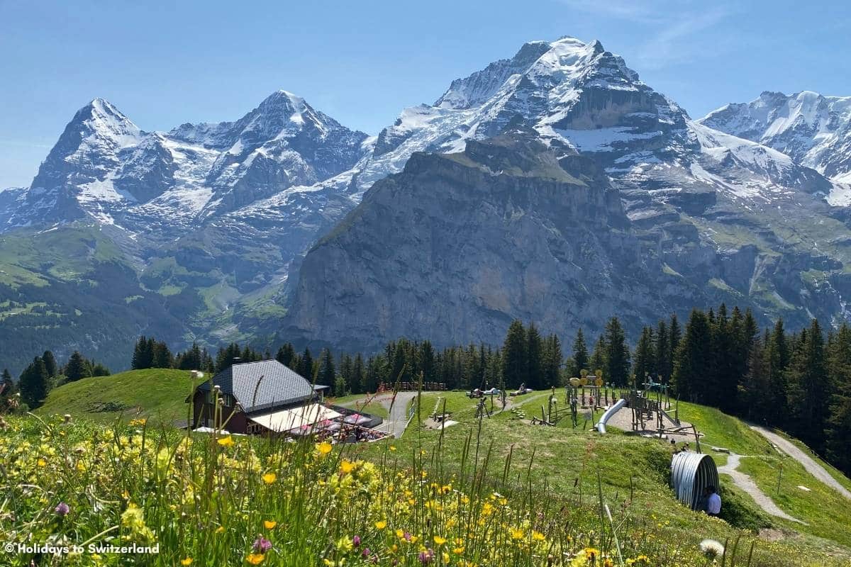 View of Eiger Monch and Jungfrau mountains from Allmendhubel