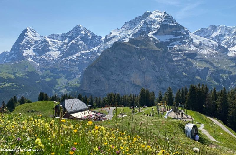 View of Eiger, Mönch and Jungfrau from Allmendhubel