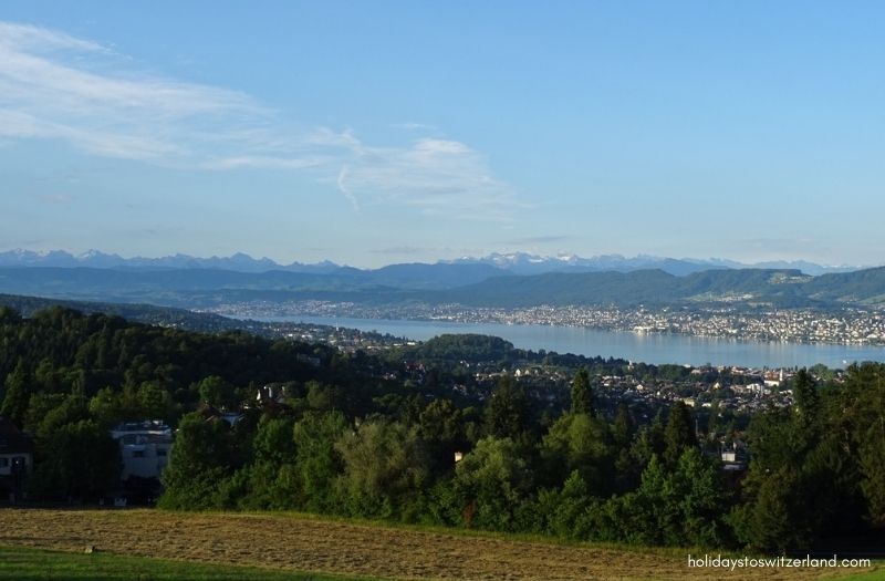 View from Hotel Sorell Zurichberg