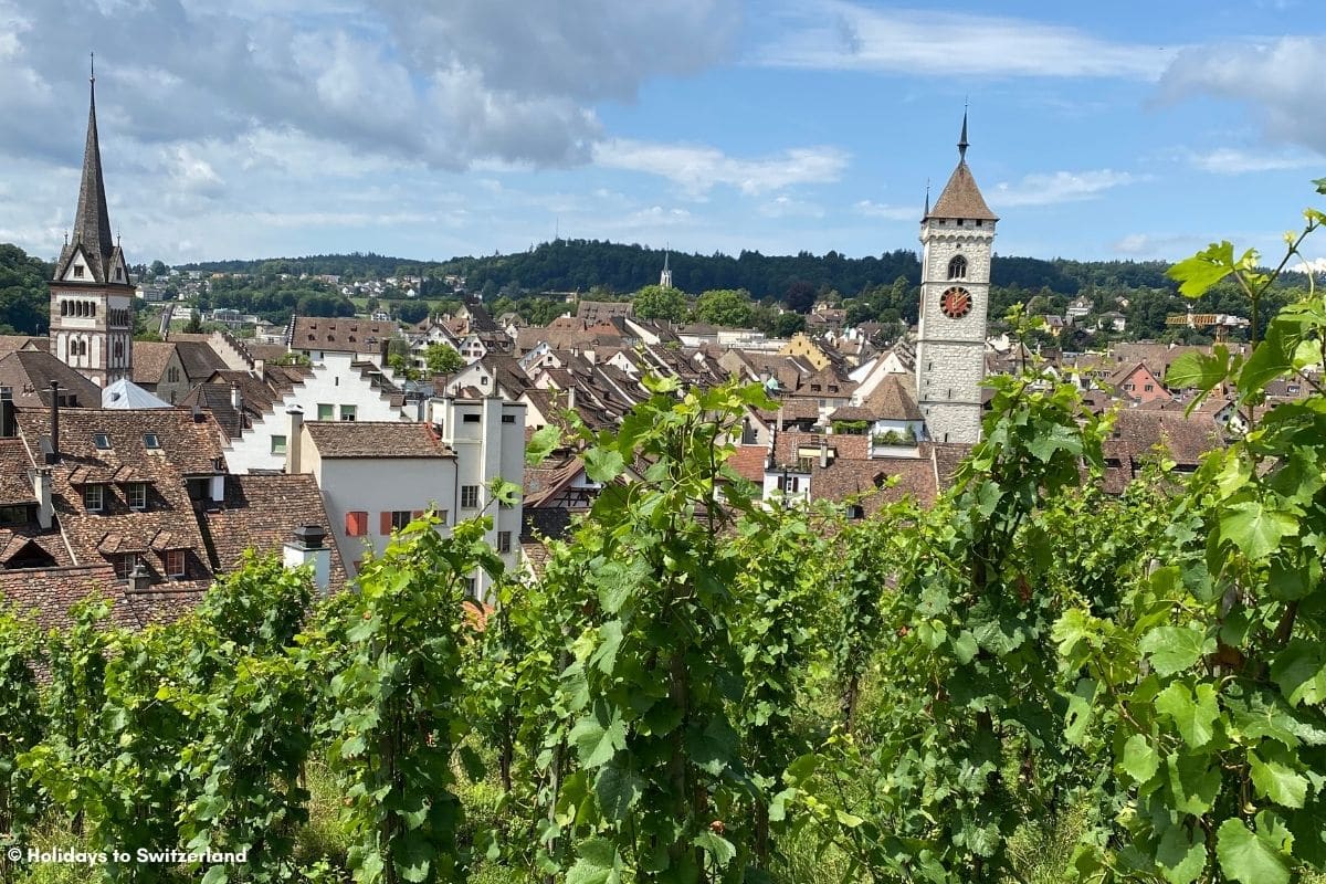 View from Munot Fortress in Schaffhausen