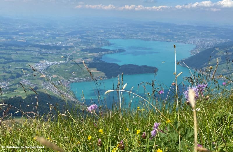 View of Lake Zug from Rigi Kulm