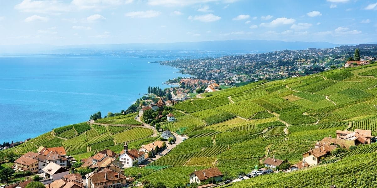 View of Lavaux vineyards and Lake Geneva