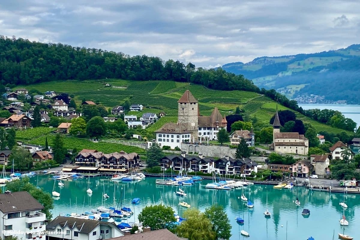 View of Spiez castle and vineyards