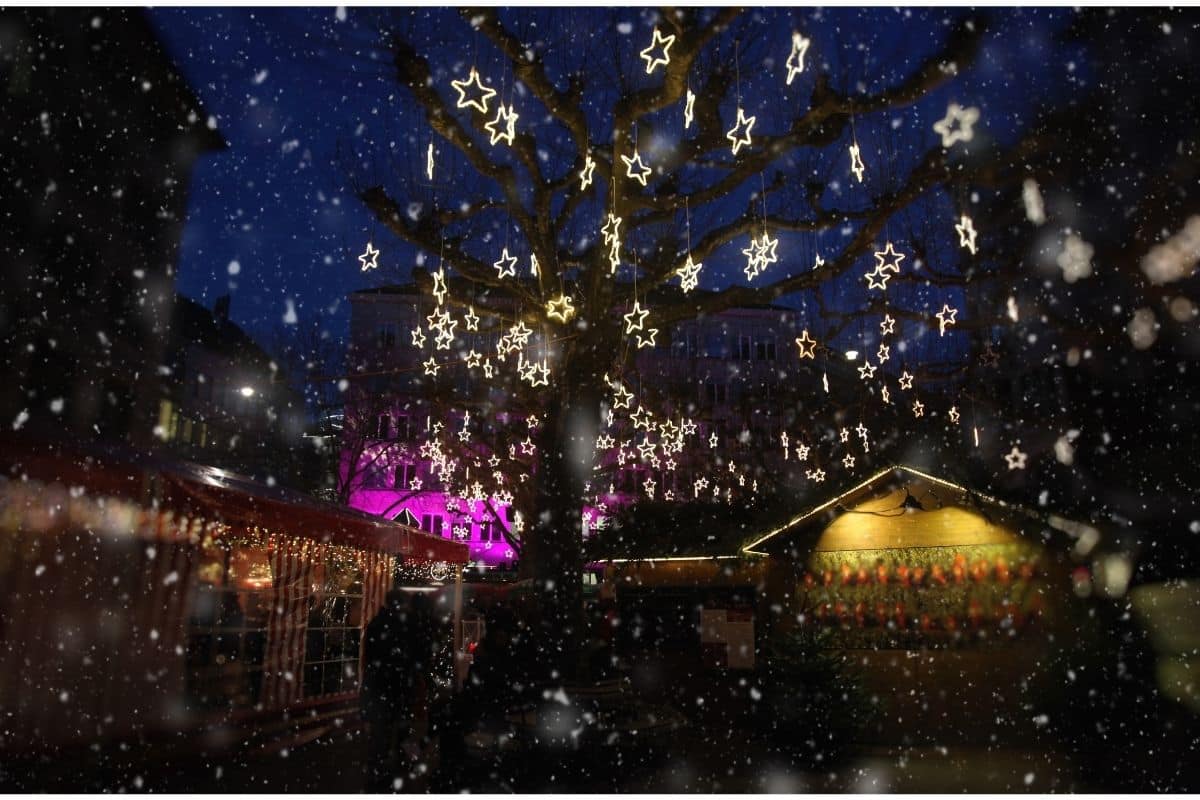 Star-shaped lights decorate a treet at Zurich's Christmas market